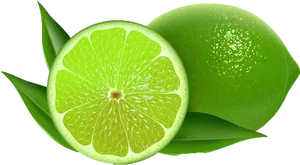 Fresh Limeand Slice