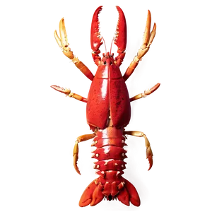 Fresh Lobster Png Irc99 PNG image