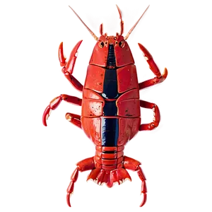 Fresh Maine Lobster Feast PNG 06202024 PNG