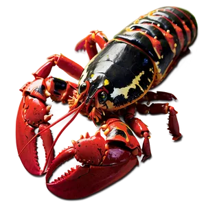 Fresh Maine Lobster Feast PNG 06202024 PNG