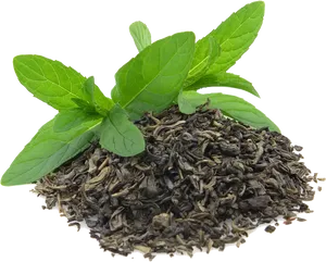 Fresh Mint Leaveson Dried Tea PNG image