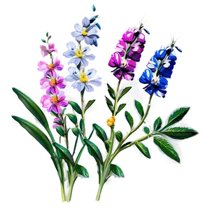 Fresh Morning Wildflowers PNG Vpp PNG