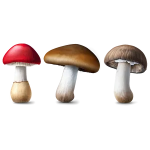 Fresh Mushrooms Png 05242024 PNG image