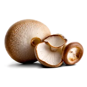 Fresh Mushrooms Png Ine78 PNG image
