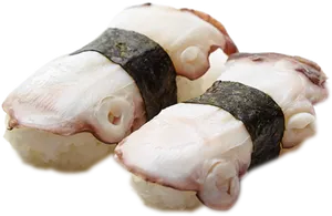 Fresh Octopus Nigiri Sushi