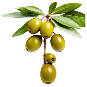 Fresh Olive Fruit Png 11 PNG image