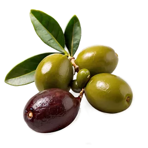 Fresh Olive Fruit Png 96 PNG image