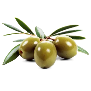 Fresh Olive Fruit Png Hpl46 PNG image