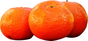 Fresh Oranges Isolated Background PNG image