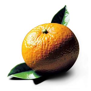 Fresh Oranges PNG Xgt87 PNG