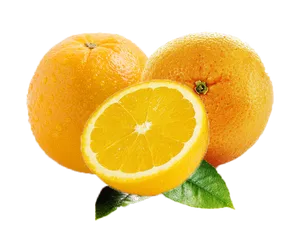 Fresh Oranges Slicedand Whole