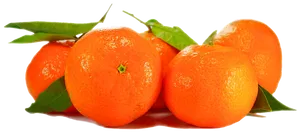 Fresh Orangeswith Leaveson Black Background
