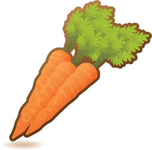 Fresh Organic Carrots Illustration PNG image