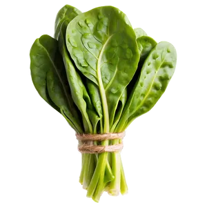 Fresh Organic Spinach Bunch Png Dau PNG image