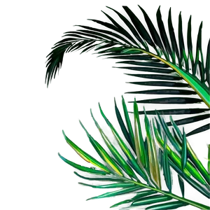 Fresh Palm Leaves PNG Qoo PNG