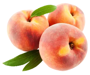 Fresh Peaches Isolated Background PNG image