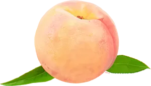 Fresh Peachwith Leaves Black Background PNG image