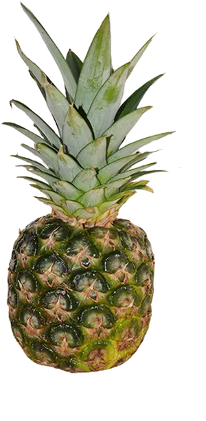 Fresh Pineapple Black Background PNG image