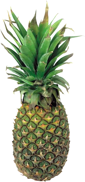 Fresh Pineapple Isolatedon Black PNG image