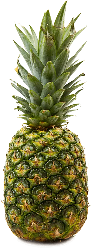 Fresh Pineapple Tropical Fruit PNG image