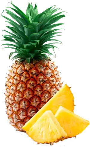 Fresh Pineappleand Slices PNG image