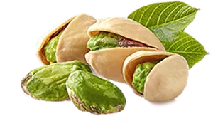 Fresh Pistachios With Leaves.png PNG image