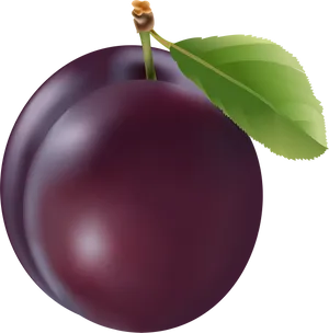 Fresh Plum Illustration PNG image