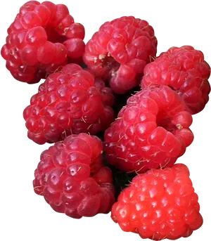 Fresh Raspberries Cluster.png PNG image
