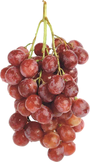 Fresh Red Grape Cluster.png