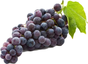 Fresh Red Grapes With Leaf.png PNG image