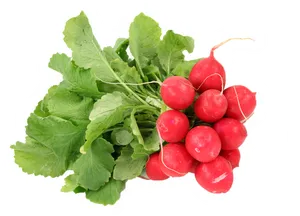 Fresh Red Radishes Bunch PNG image