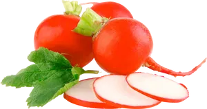 Fresh Red Radisheswith Slices.png PNG