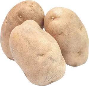Fresh Russet Potatoes Isolated PNG image