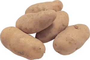Fresh Russet Potatoes Isolated PNG image