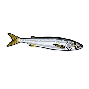 Fresh Sardine Png 92 PNG image