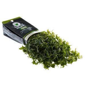 Fresh Seaweed PNG 05242024