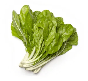 Fresh Spinach Bunch Isolated PNG