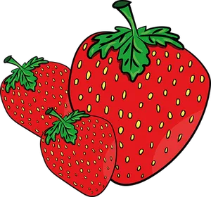 Fresh Strawberries Illustration