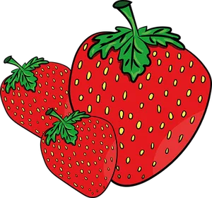 Fresh Strawberries Illustration PNG image
