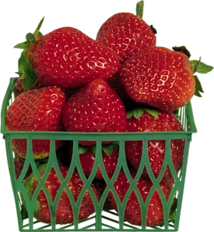 Fresh Strawberriesin Green Basket