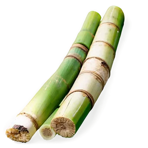 Fresh Sugarcane Png 35 PNG image