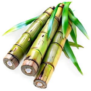 Fresh Sugarcane Png 79 PNG image