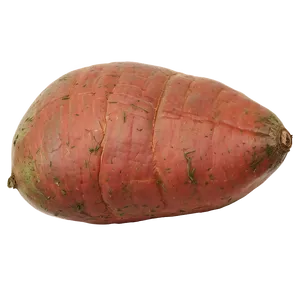 Fresh Sweet Potato Png 33 PNG image