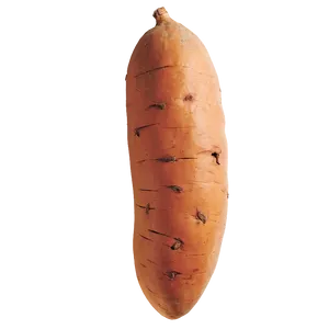 Fresh Sweet Potato PNG 65