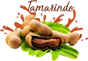 Fresh Tamarind Pods Splash PNG image