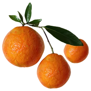 Fresh Tangerine Png 06122024 PNG image