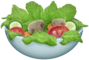 Fresh Vegetable Salad Bowl PNG image