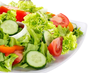 Fresh Vegetable Salad Plate.png PNG image