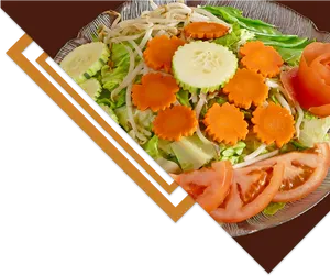 Fresh Vegetable Salad Plate PNG image