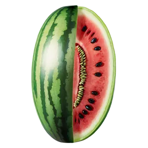 Fresh Watermelon Seeds Png 06272024 PNG image